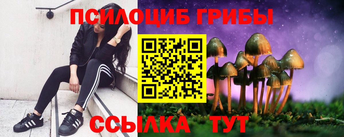 Псилоцибиновые грибы Psilocybine cubensis Чистополь